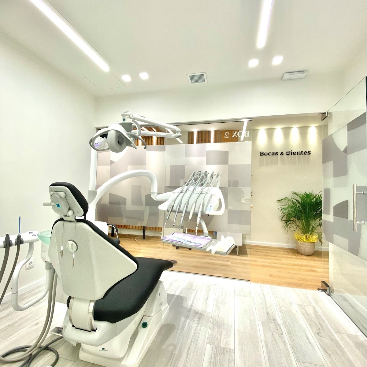 Sala de tratamiento muy iluminada: sillón dental blanco con tapicería negra a la izquierda, lámpara de quirófano y bandeja de instrumental; al fondo, tras una mampara de cristal, una segunda sala con suelo de madera clara y una palmera en maceta, y el nombre Bocas & Dientes rotulado en la pared.